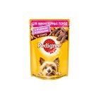 Dogs Foods